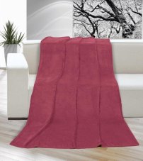 Brotex Mikro deka na jednolůžko 150x200 cm Bílá barva