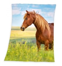 Dětská deka fleece kůň 130x160 cm