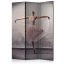 Artgeist Paraván - Classical dance - poetry without words [Room Dividers]