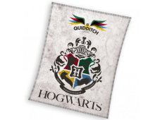 Dětská deka Harry Potter Famfrpál 130x170 cm