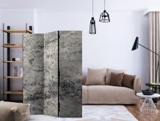 Artgeist Paraván - Grey Lady [Room Dividers]
