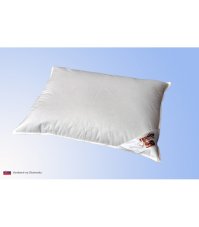 Termop set Prémium 70x90/140x220 cm celoročný perie/páper