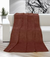 Brotex Mikro deka na jednolůžko 150x200 cm Hnědá barva