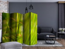 Paraván - bamboo - nature zen [Room Dividers]