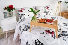 Stanex Luxusní povlečení Motýl bílý Krep