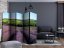 Artgeist Paraván - Lavender fields [Room Dividers]