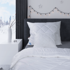 SET přikrývky a polštáře Winter 140x200, 70x90cm