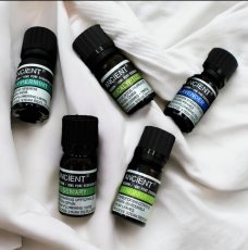 10 ml Bazalka Esenciální Olej