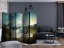 Artgeist Paraván - Flight over the Lake II [Room Dividers]