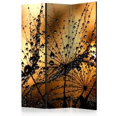 Artgeist Paraván - Dandelions in the Rain [Room Dividers]
