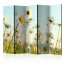 Artgeist Paraván - Daisies - spring meadow [Room Dividers]