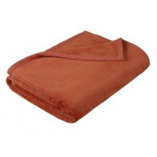 Brotex Mikro deka na dvojlůžko 200x230 cm Terra