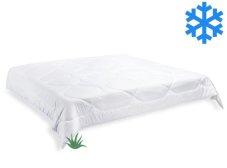 Brotex Přikrývka Aloe Vera zimní 200x200cm 1800g