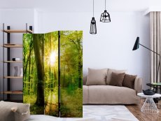 Artgeist Paraván - Forest Rays [Room Dividers]