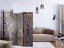 Artgeist Paraván - Concrete Garden [Room Dividers]