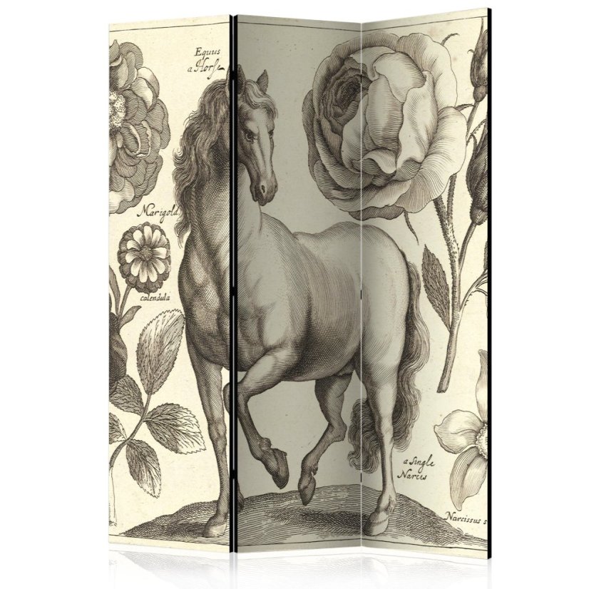 Artgeist Paraván - Horse [Room Dividers]