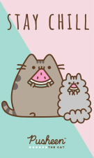 Detský uteráčik Mačička Pusheen Stay Chill 30x50 cm