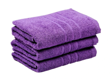 Osuška Sofie fialová 70x140 cm